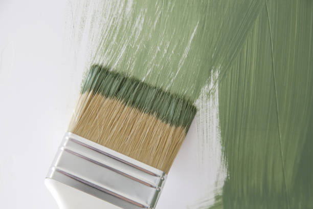 Professional Mold Removal in Fall River, WI