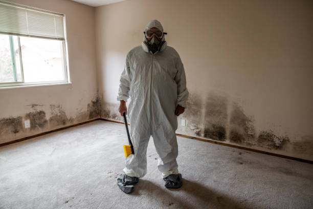 Best Environmental Consulting for Mold Prevention  in Fall River, WI